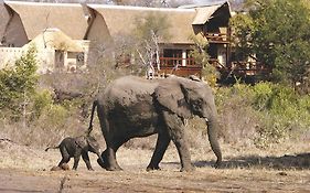 Elephant Plains Game Lodge